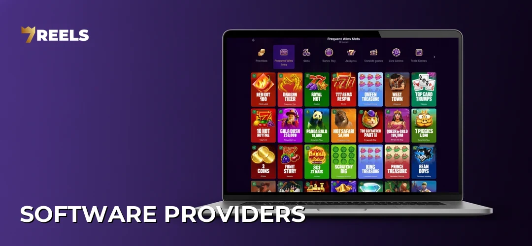Software Providers